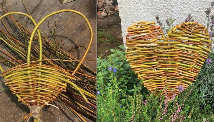 Willow Weaving Workshop at Quince Honey Farm