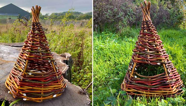 Willow Weaving Workshop