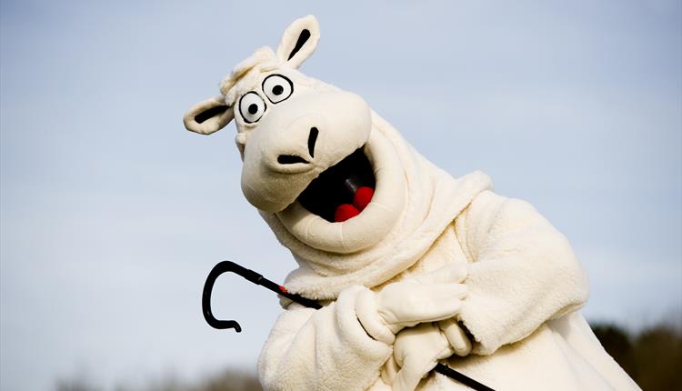 Summer of Fun at The BIG Sheep