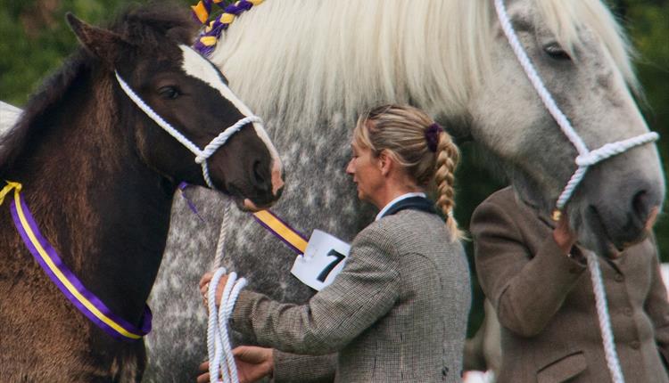 Woolsery Agricultural Show
