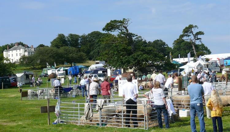 Woolsery Agricultural Show