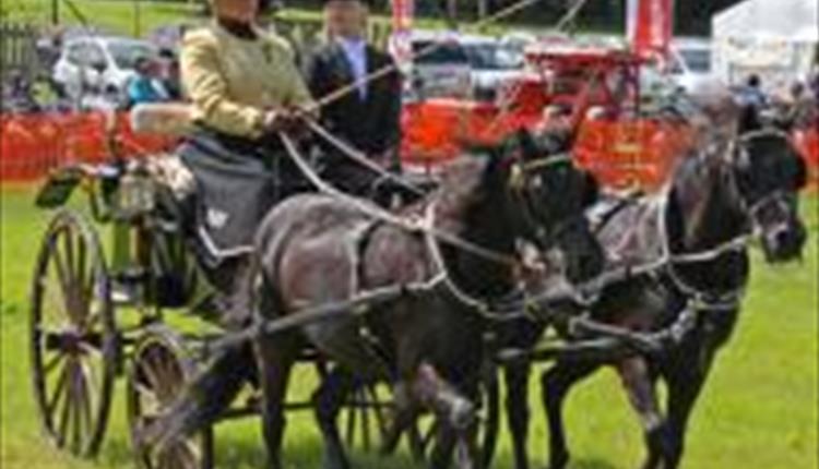 Woolsery Agricultural Show, Monday 27 July 2020, in aid of local charities
