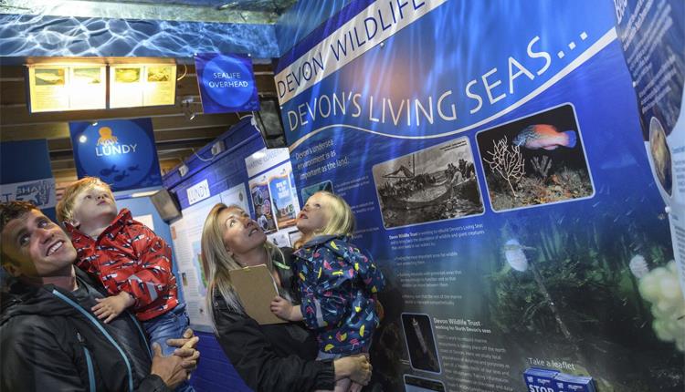 Ilfracombe Aquarium