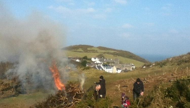 Family Volunteerting - Bash and Burn