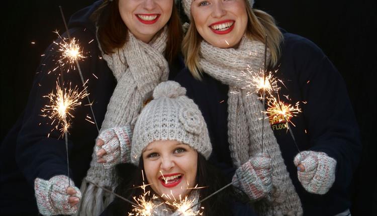 Bonfire Fireworks Night at The Big Sheep