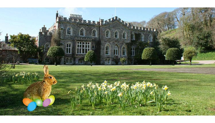 Easter Fun and Bluebells