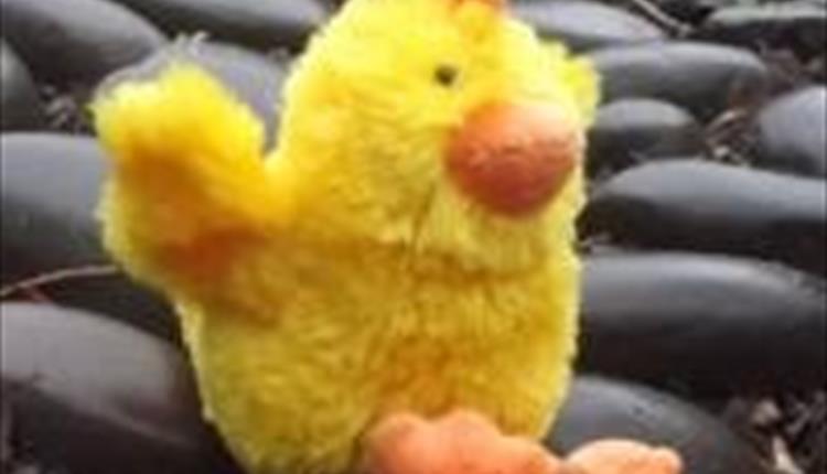Easter – Find the Easter Chicks
