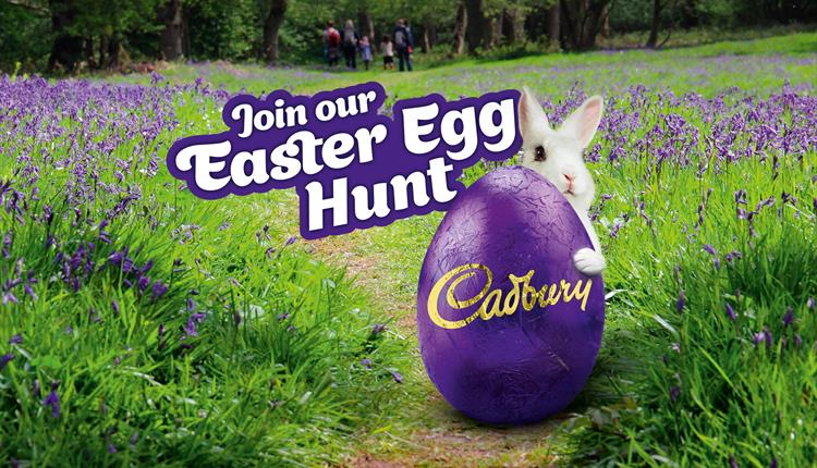 Cadbury Easter Trail