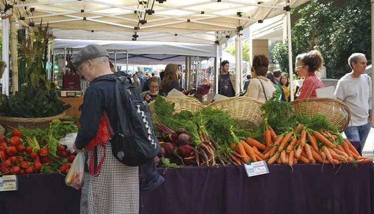 Bideford Quay Farmers' Market
