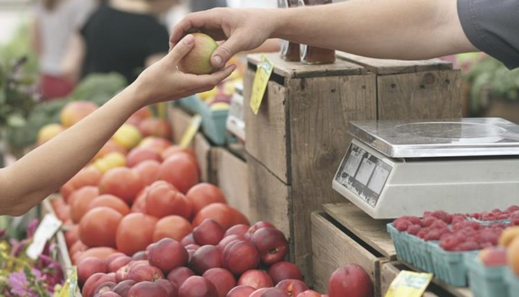 Lynton Farmers' Market