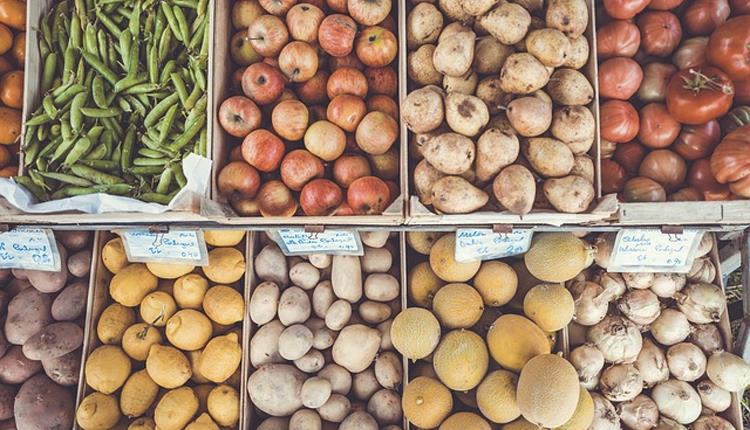 Ilfracombe Farmers' Market