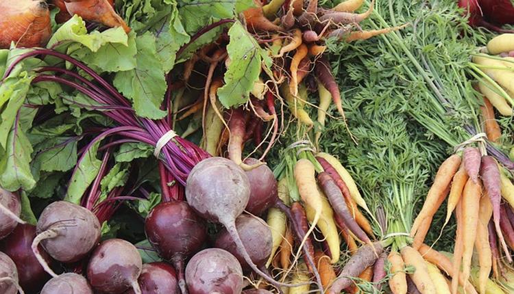 South Molton Farmers' Market