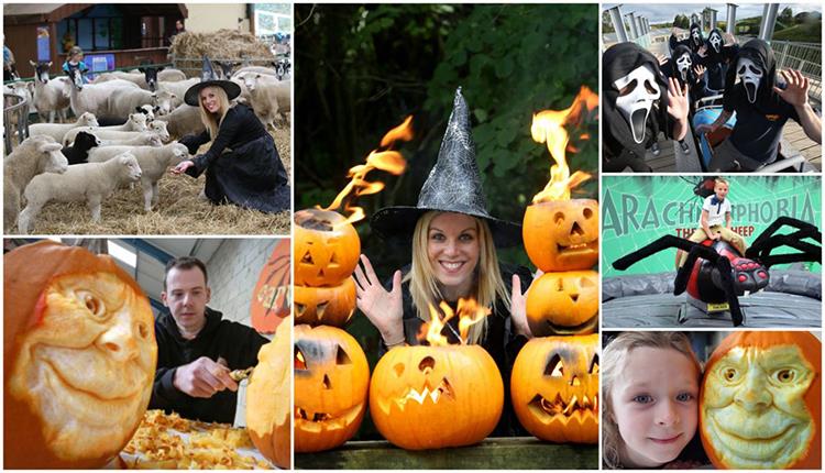 Halloween Festival