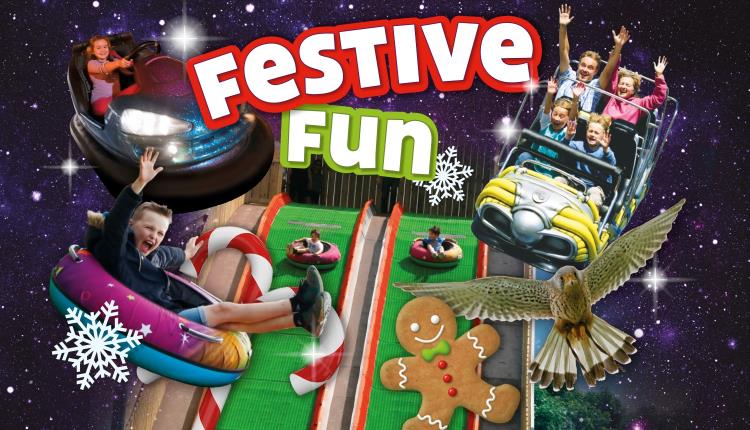Festive Fun