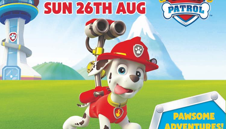 Meet Marshall from Paw Patrol