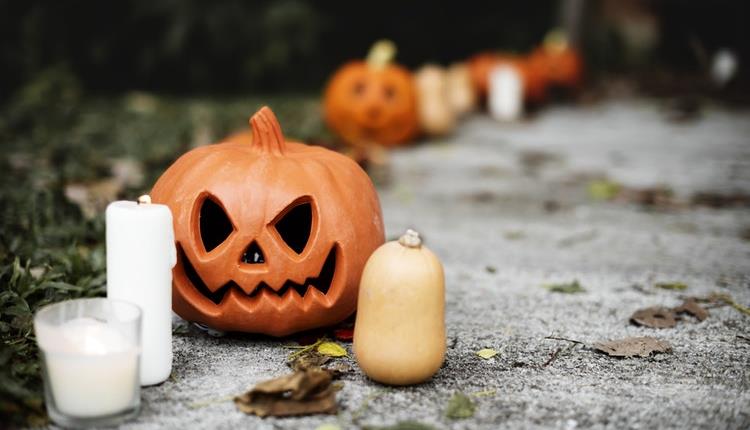 Halloween House at Glenwood Park, Barnstaple
