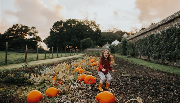Apple Day - Harvest Fayre