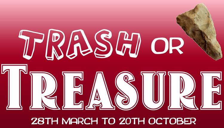 Trash or Treasure poster