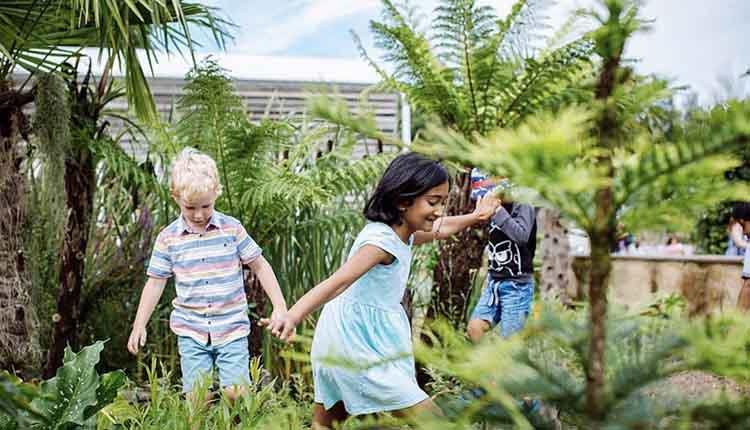 Jurassic Discovery Garden Trail