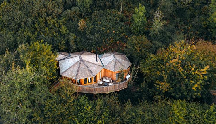 Nest Treehouse - Sleepy Owl Devon