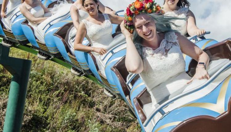 The BIG North Devon Wedding Show