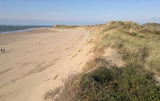 braunton burrows