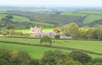 Birchill Farm & Cottages