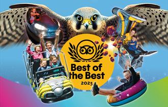 Milky way tripadvisor award - best of the best 2025