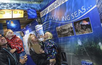 Ilfracombe Aquarium