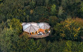 Nest Treehouse - Sleepy Owl Devon