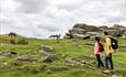 Great Scenic Railways of Devon and Cornwall