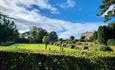Tapeley Park Grounds and Gardens