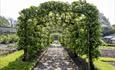 Apple arches