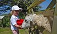 Lower Campscott Farm Holiday Cottages