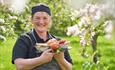 The Garden Restaurant at RHS Rosemoor