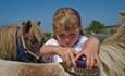 Lower Campscott Farm Holiday Cottages