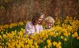 RHS Garden Rosemoor