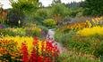 RHS Garden Rosemoor