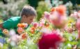 RHS Garden Rosemoor